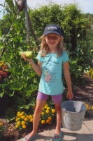 Harvesting the vegetables is great fun.